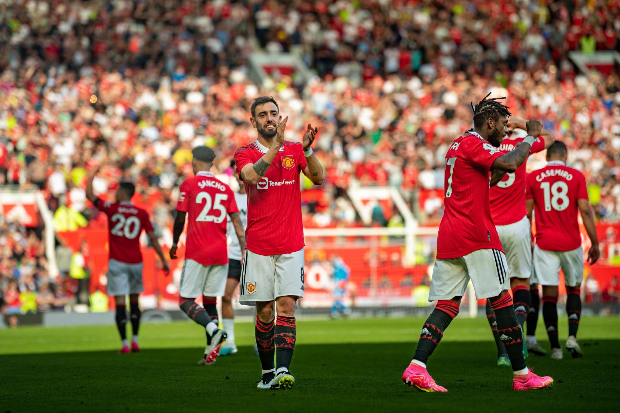 布里不仅在 布里不仅在