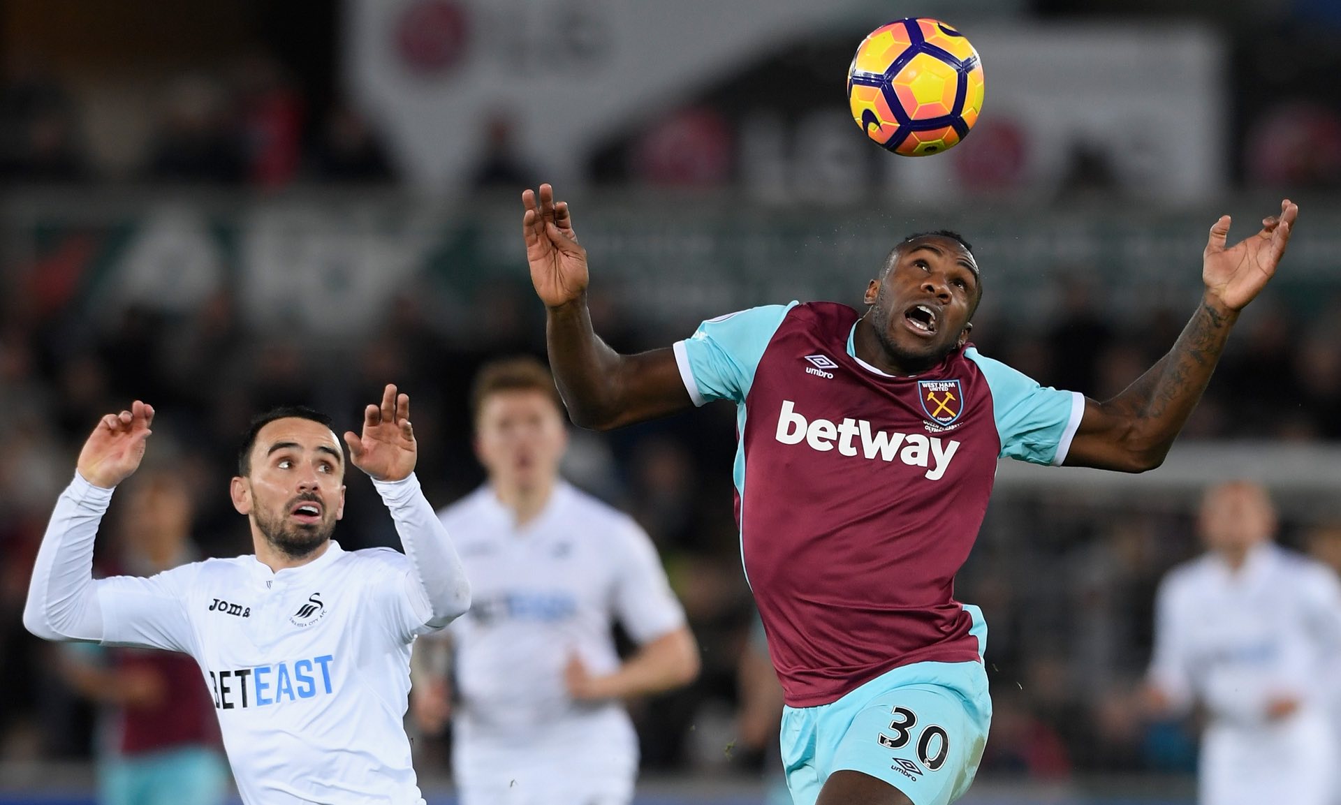 的魅力所在 的魅力所在